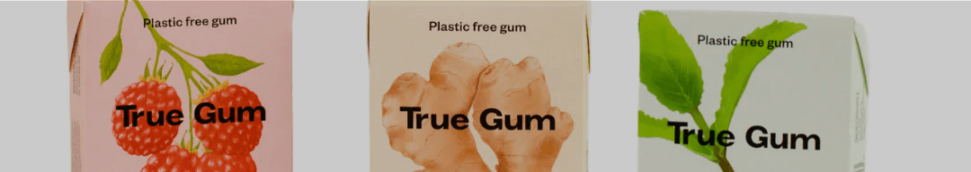 Chewing Gum - Gewürzhaus