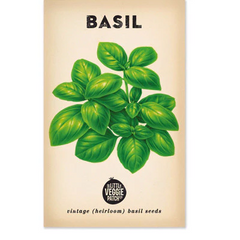 Sweet Genova Basil Heirloom Seeds
