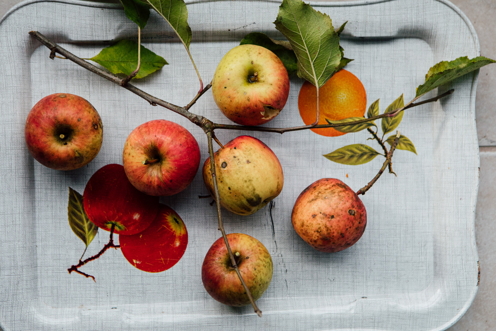 What’s in Season in Autumn