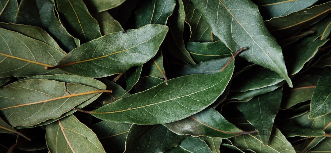 How To: Use Bay Leaves - Gewürzhaus