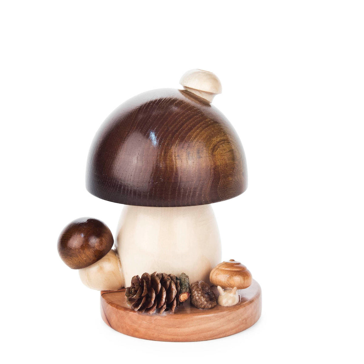 Smoker mushroom brown cap round shape, small