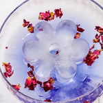 Gewürzhaus - Ice Cube Tray Retro Daisy Yellow