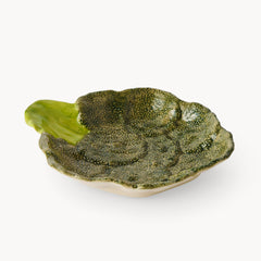 Gewürzhaus - Broccoli Plate