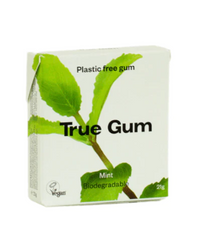 Mint Gum 21g